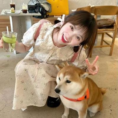 丢失气球之旅