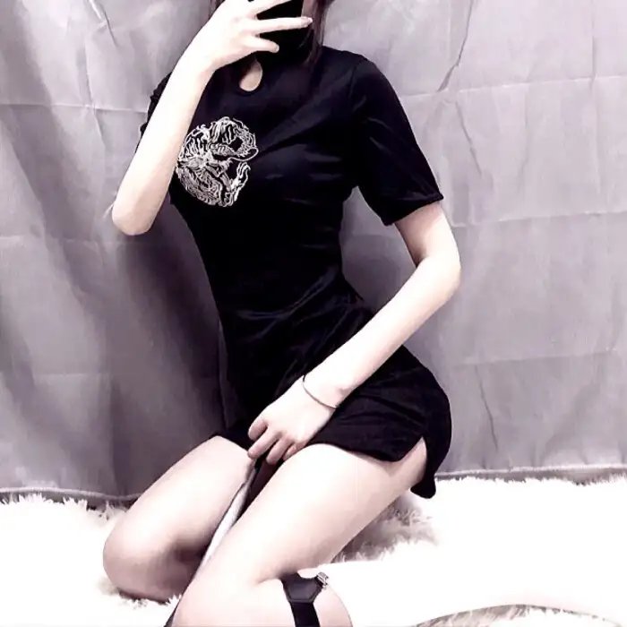 陆昭昭的刺客笔记